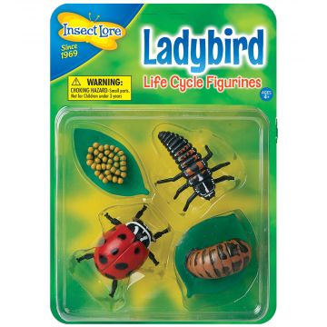 Ladybird Lifecycle stages. 4 figurines in packaging; Eggs on leaf, Larva, Pupa, Adult Ladybird. Plastic and oversized for little hands.