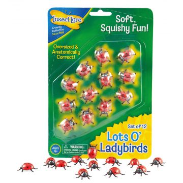 One dozen soft, squishy ladybirds, which are oversized but anatomically correct ladybirds. Measure approx. 2.5cm in body length.