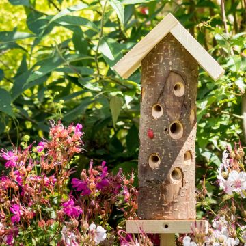 Ladybird and Insect Tower in a garden. Made from a thin log and recycled wood. Drilled holes make great hiding places!