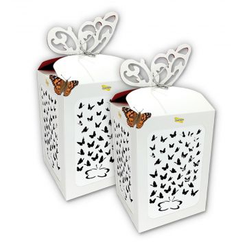 150 Butterflies - Butterfly Celebration