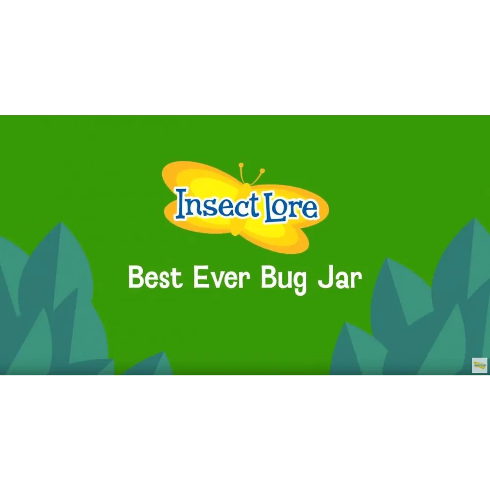 Best Ever Bug Jar