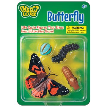 Painted Lady Butterfly Lifecycle Stages