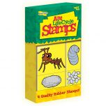 Ant Lifecycle Stamps in packaging. 4 stamps with each stage of the ant lifecycle. Cartoon drawings. 