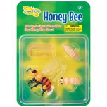 Honey Lifecycle stages. 4 figurines in packaging; Egg in Honeycomb, Larva, Pupa, Adult Honey Bee. Plastic and oversized for little hands.
