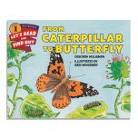From Caterpillar to Butterfly Book. Story based on the lifecycle of the Painted Lady Butterfly. Paperback. Front Cover features Thistles and the Painted Lady Butterfly.