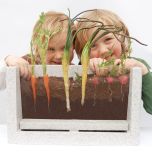 Two children peering through the Rootvue. Carrots, spring Onions and radish grow in the container with see-through panel so the root system can be observed.