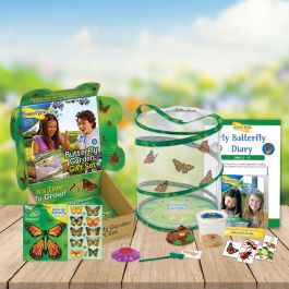 Living Wonders Butterfly Experience Kit with 10 Live Caterpillars 