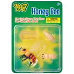 Honey Bee Lifecycle Stages