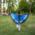 A young child with arms stretched out to the side running while wearing a cape in the shape of a Blue Morpho Butterfly. Butterfly wings, blue, back, yellow and white