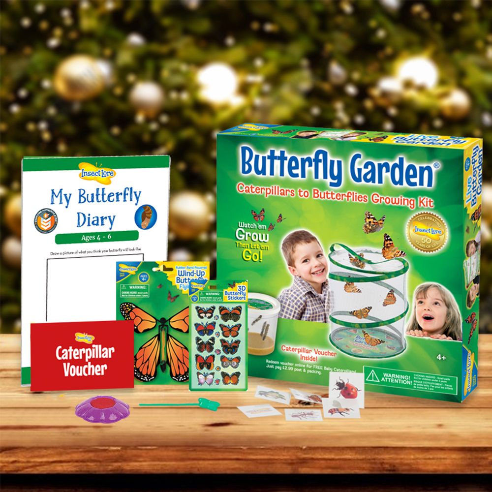Butterfly Garden Gift Set with Caterpillar Voucher Insect Lore