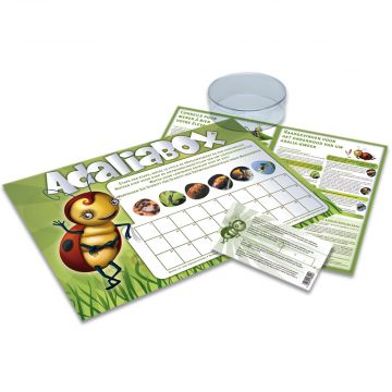 Ladybird rearing kit. Watch and rear Ladybirds from Larvae to adults and then let them go. Provided with poster for daily observations. 