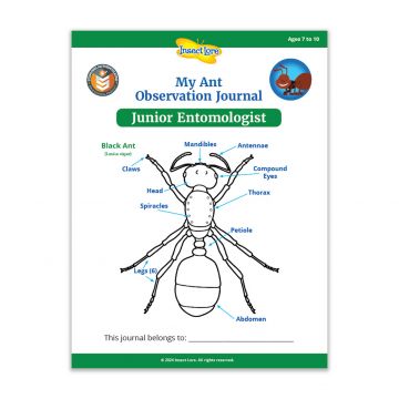 Front page of a paper booklet, showing a black and white drawing of an ant with arrows pointing to parts of the body listed