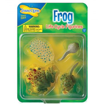 Frog Lifecycle stages. 4 figurines in packaging; Egg, Tadpole, Young Frog, Adult Frog. Plastic and oversized for little hands.