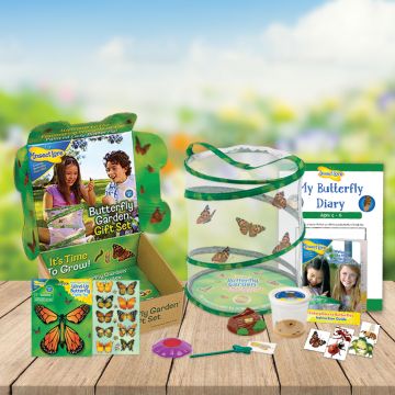 Butterfly Garden GIFT SET with 3-5 LIVE Caterpillars