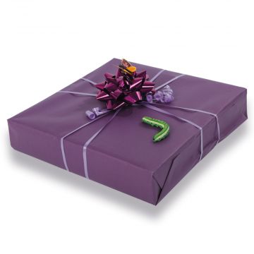 Gift wrapped parcel. Purple Paper, Purple Ribbon, Purple bow and two insect toppers (caterpillar and butterfly). Styles may vary.