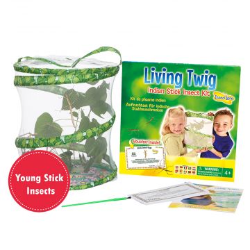 Living Twig Insect Kit. Includes: 30cm Habitat to house the Stick insects, Paintbrush, full colour instructions and five young stick insects to watch grow. 