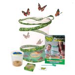 Butterfly Garden with 3-5 LIVE Caterpillars