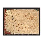 Mealworm poster. Shows the lifecycle from mealworm to Darkling beetle.