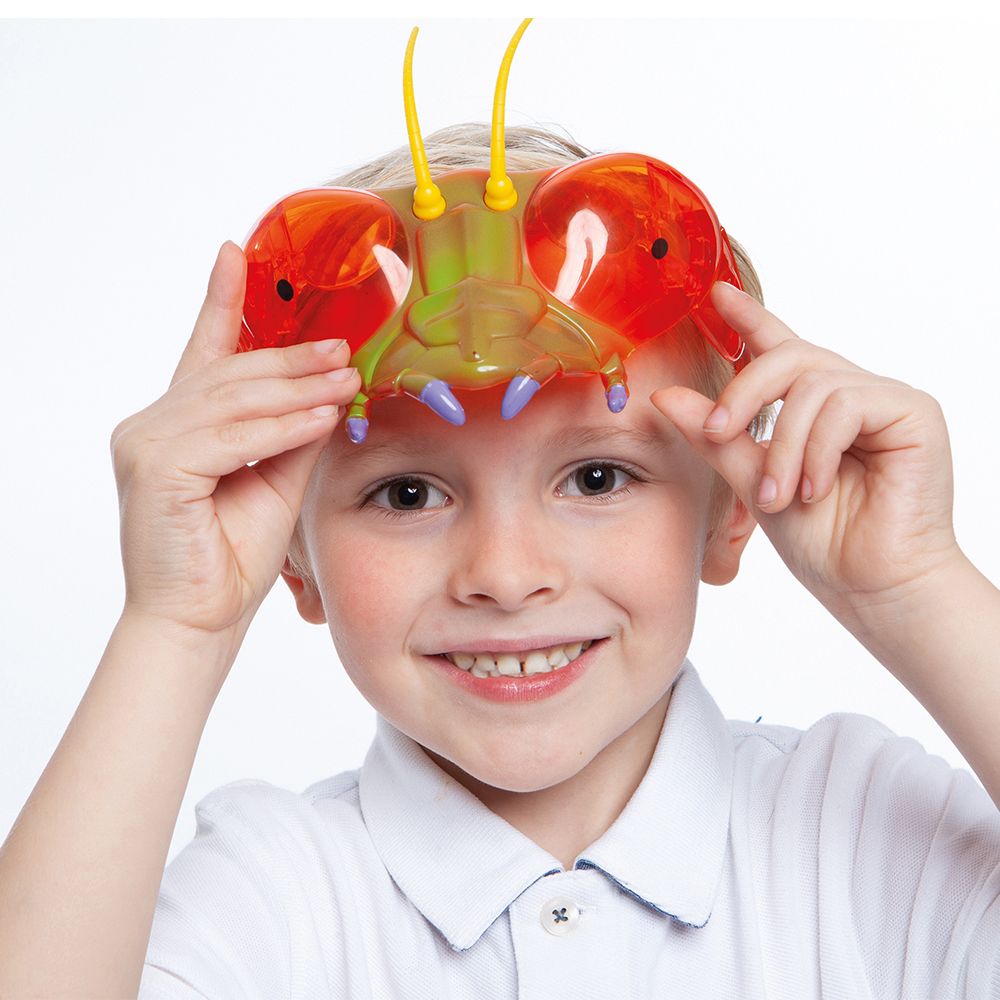 Insect Lore The World of Eric Carle Mantis Bug Goggles 