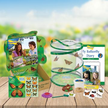 Butterfly Garden GIFT SET with 3-5 LIVE Caterpillars