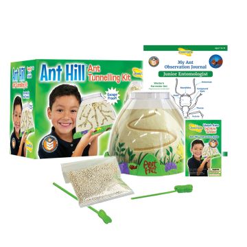 Ant Hill habitat with display box, instruction guide, Paper My Ant Observation Journal, pack of sand with green pipette and tunnel rod.