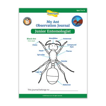 Front page of a paper booklet, showing a black and white drawing of an ant with arrows pointing to parts of the body listed