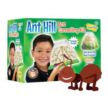 Ant Hill with LIVE Ants