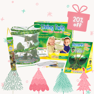 Living Twig Christmas Gift Bundle
