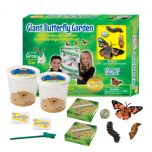 Giant Butterfly Garden (6-10 Caterpillars & Figurines)
