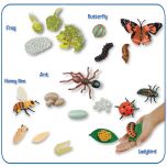 Life Cycle Figurines Collection. Includes the setd of the Butterfly, Frog, Honey Bee, Ant and Ladybird Stages. In total 20 pieces. 
